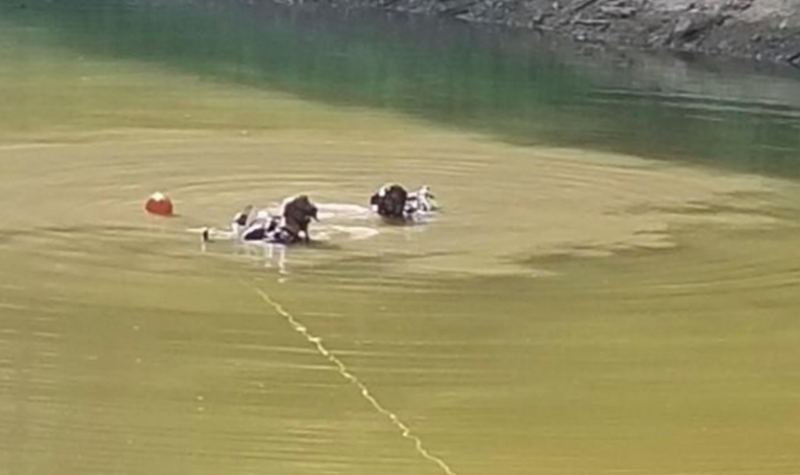 Illustration for article titled Homeowners' Association Finds Stolen Mud-Filled 1983 Pontiac Firebird At The Bottom Of A Lake